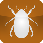 Chafer Beetle, Cutting Edge Vancouver Lawn Care Icon